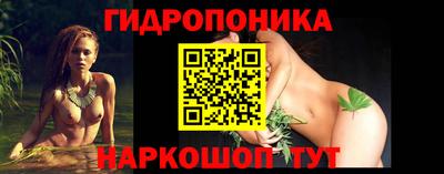 амф Кандалакша