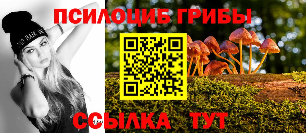 Псилоцибиновые грибы ЛСД  Вход с VPN  Заводоуковск  Псилоцибиновые грибы мухоморы 